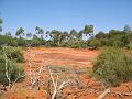 A 286 Alice Springs - Desert Park